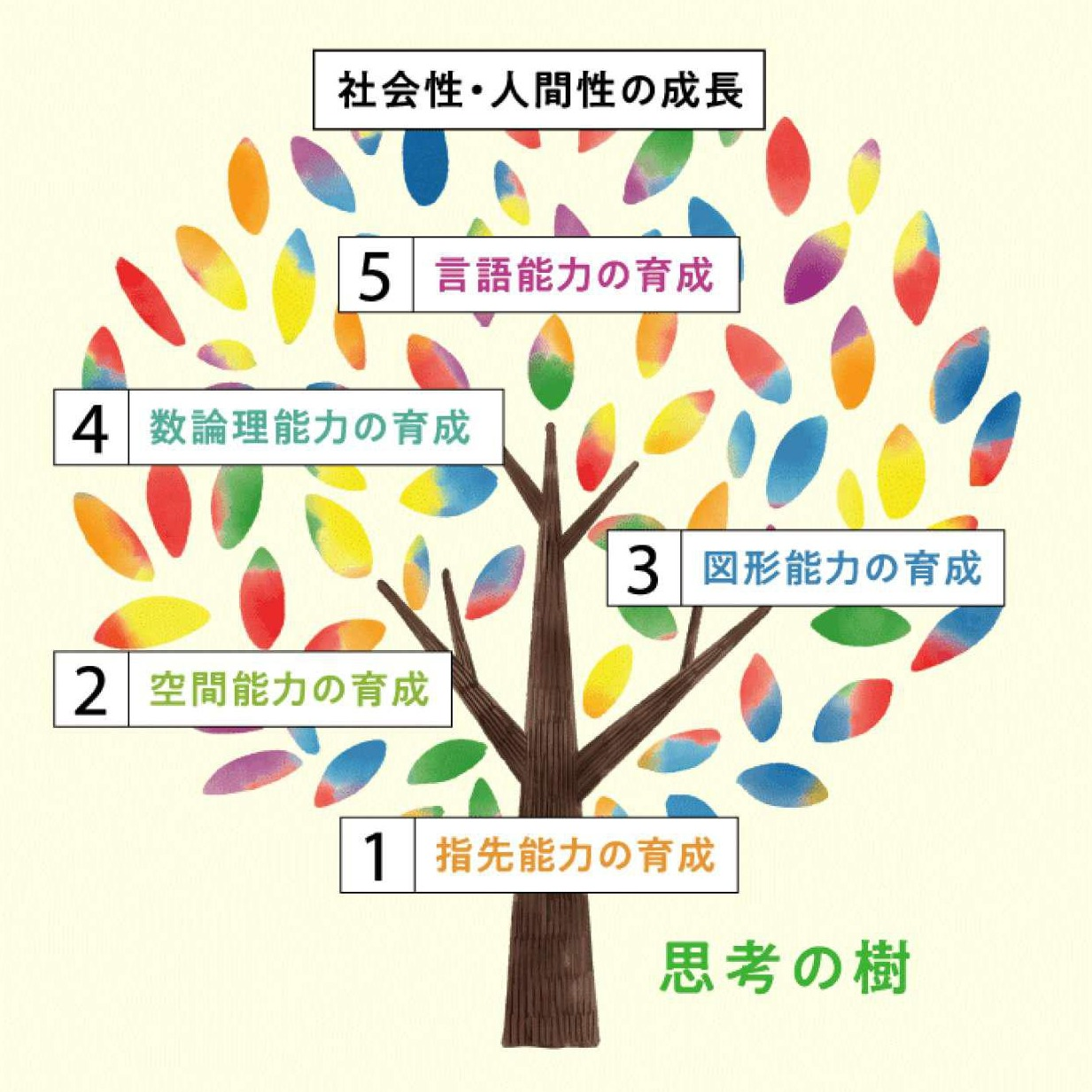 思学舎グループ TSS難関私立中TOPPA館・幼児英才教育ピグマリオン