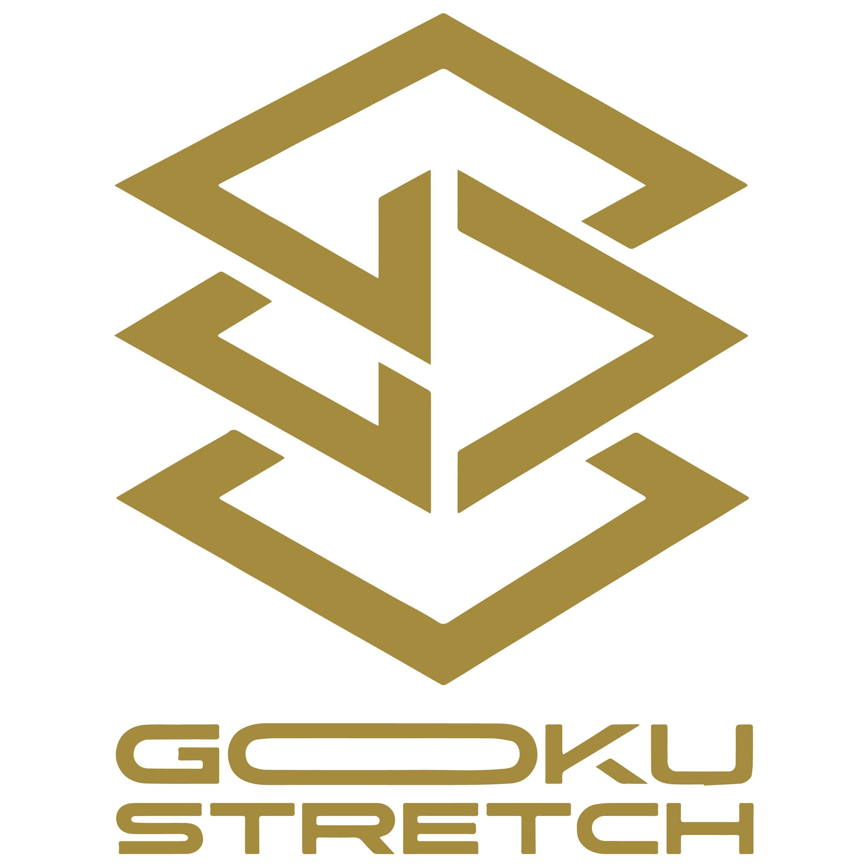 極 -GOKU- ストレッチ