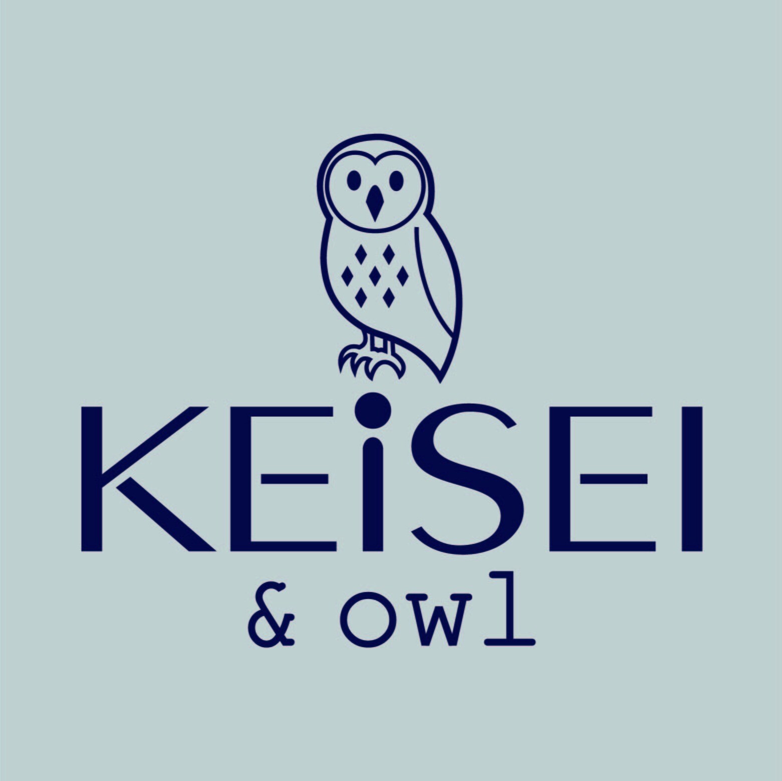 KEiSEI & owl