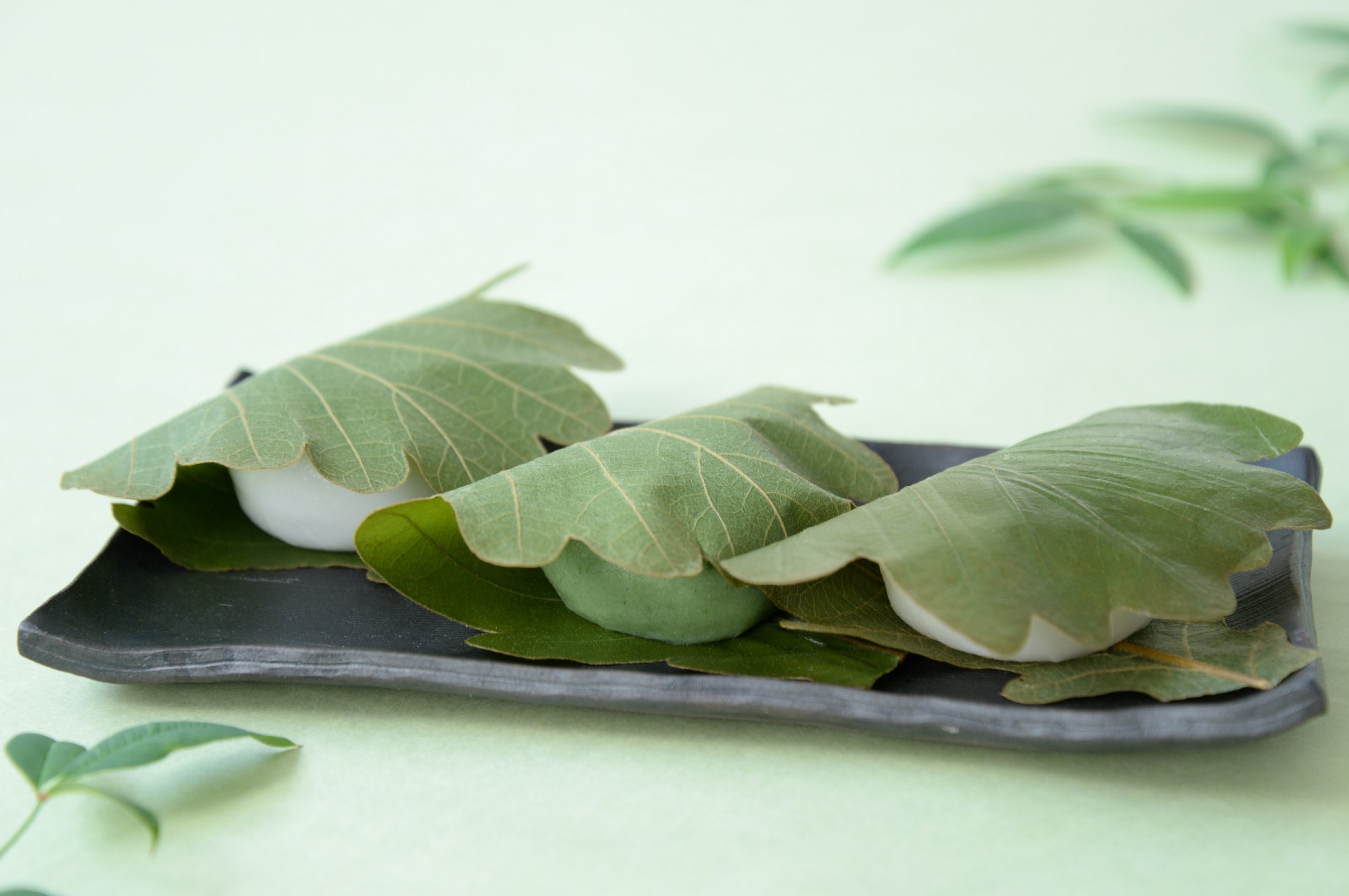 端午の節句！<笹屋伊織>柏餅限定販売会