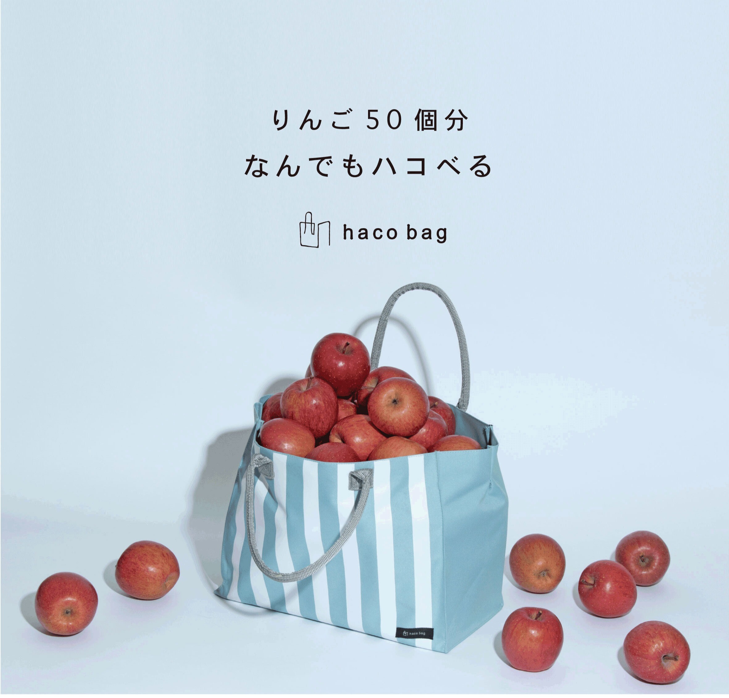石川県小松市<ハコバッグ>特別販売会