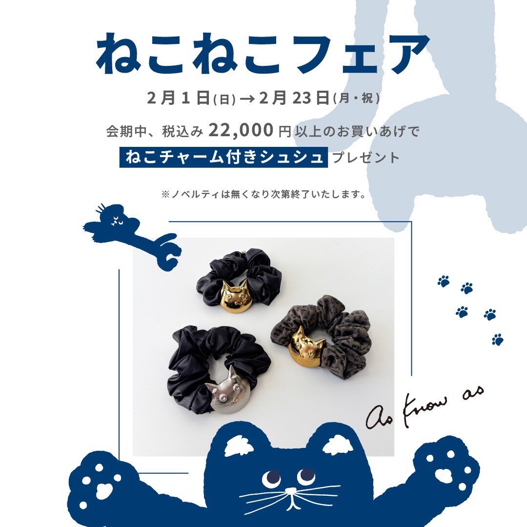 ねこねこフェア🐈‍⬛✨