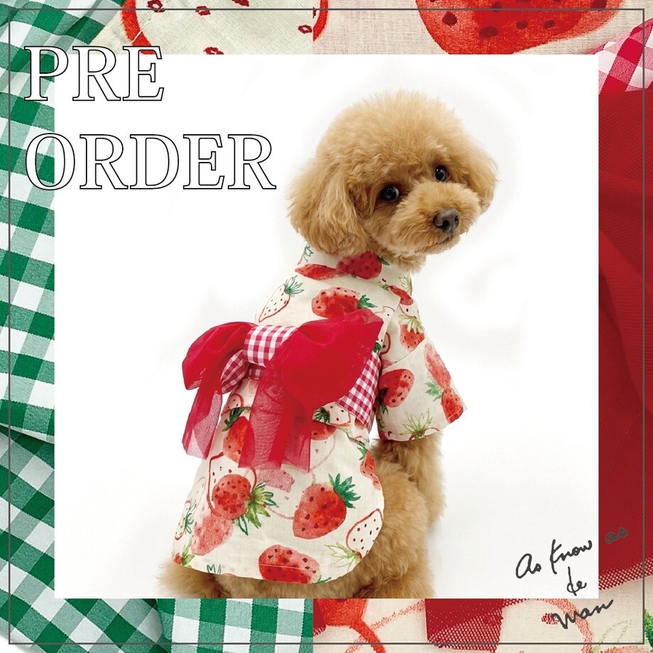 dewan☆浴衣&甚平ご予約開始🐶✨