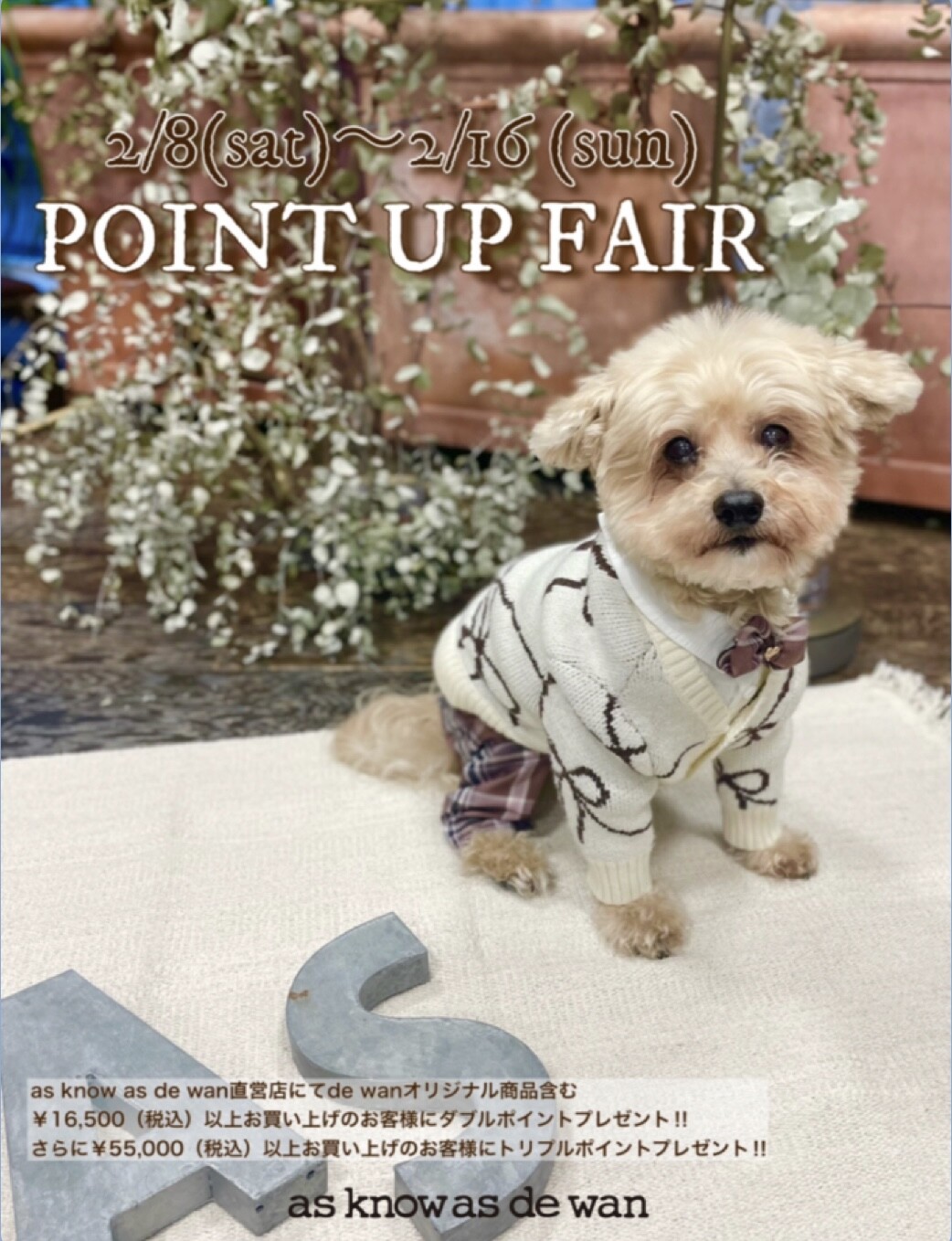 dewan⭐︎POINT UP FAIR開催✨