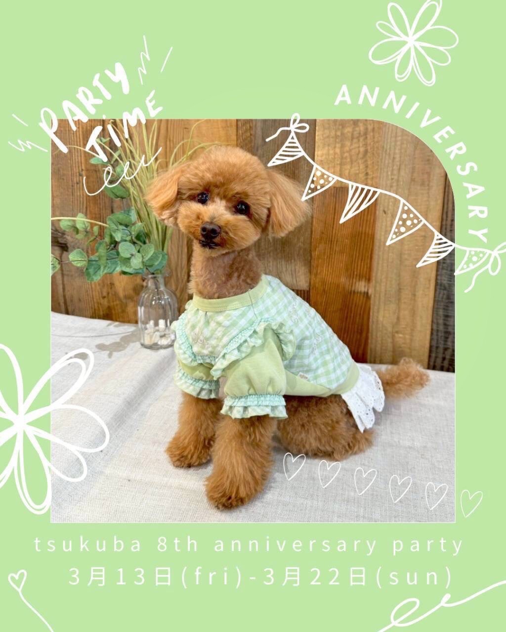 dewan☆つくば店8周年祭🎉