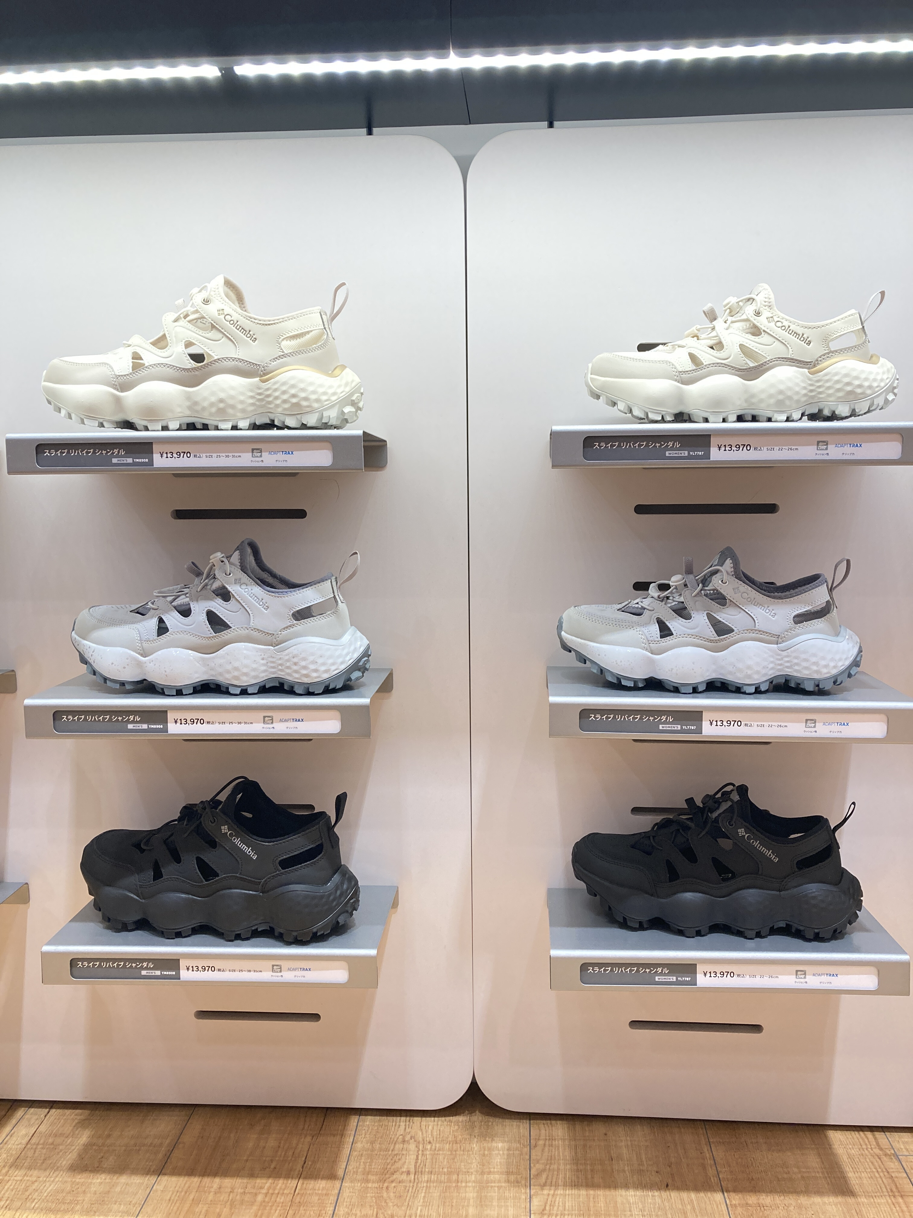 春だ🌷シャンダルだ✨