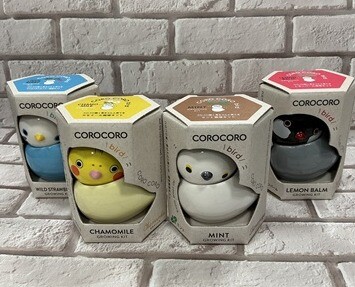 小鳥モチーフの栽培キット　コロコロバード