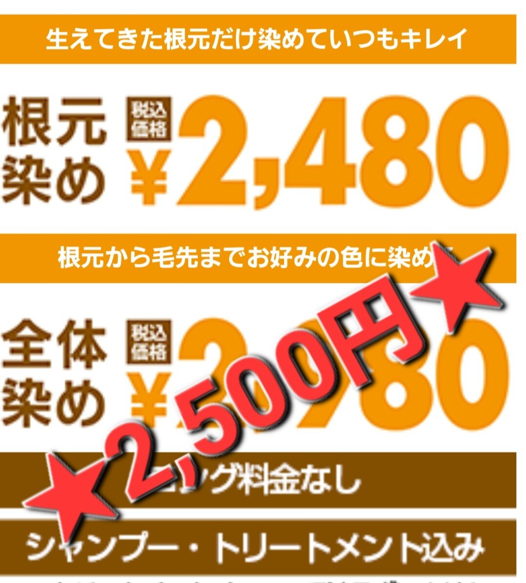 【ヘアカラー専門店】最終日・お正月全体染め2,500円セールのお知らせ！ MOG