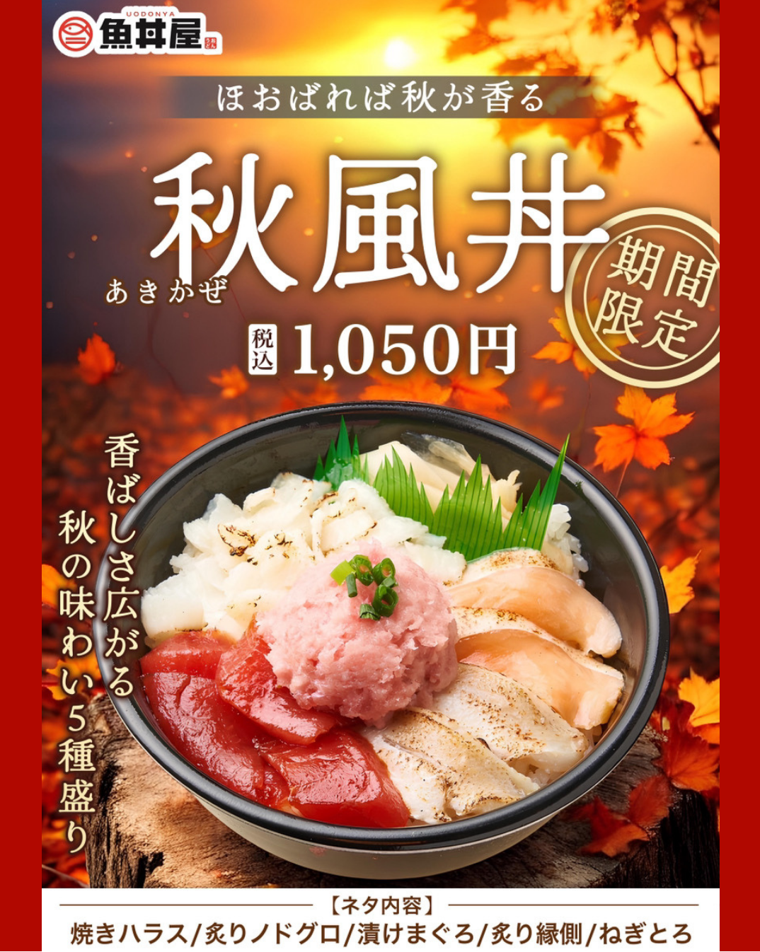 【期間限定】昨年も大人気！香ばしい5種のネタを楽しむ「秋風丼」が今年も登場🍁