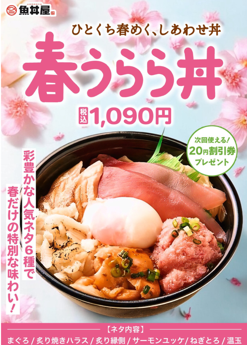 🌸春限定！ネタ6種の贅沢「春うらら丼」登場！次回使える20円引きクーポン付き✨