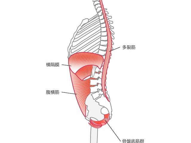 楽に汗をかいて、トレーニング！！