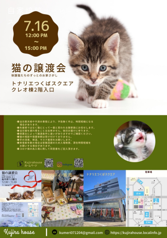 【予告】猫の譲渡会 7/16(土)12:00~15:00