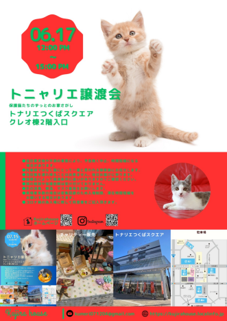 猫の譲渡会 6/17(土)12:00~15:00