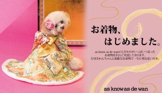 dewan☆期間限定！お着物展示！