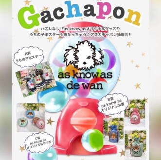 dewan☆Gachapon抽選会