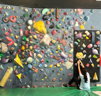 フクレミカンウォール新装OPEN！