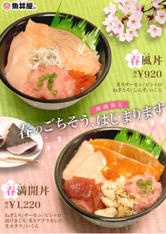 🌸春限定！「春風丼」・「春満開丼」が登場✨彩り華やかな海鮮創作どんぶり2種類